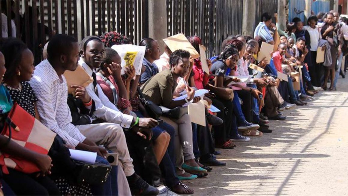Is government committed to solving the unemployment problem?