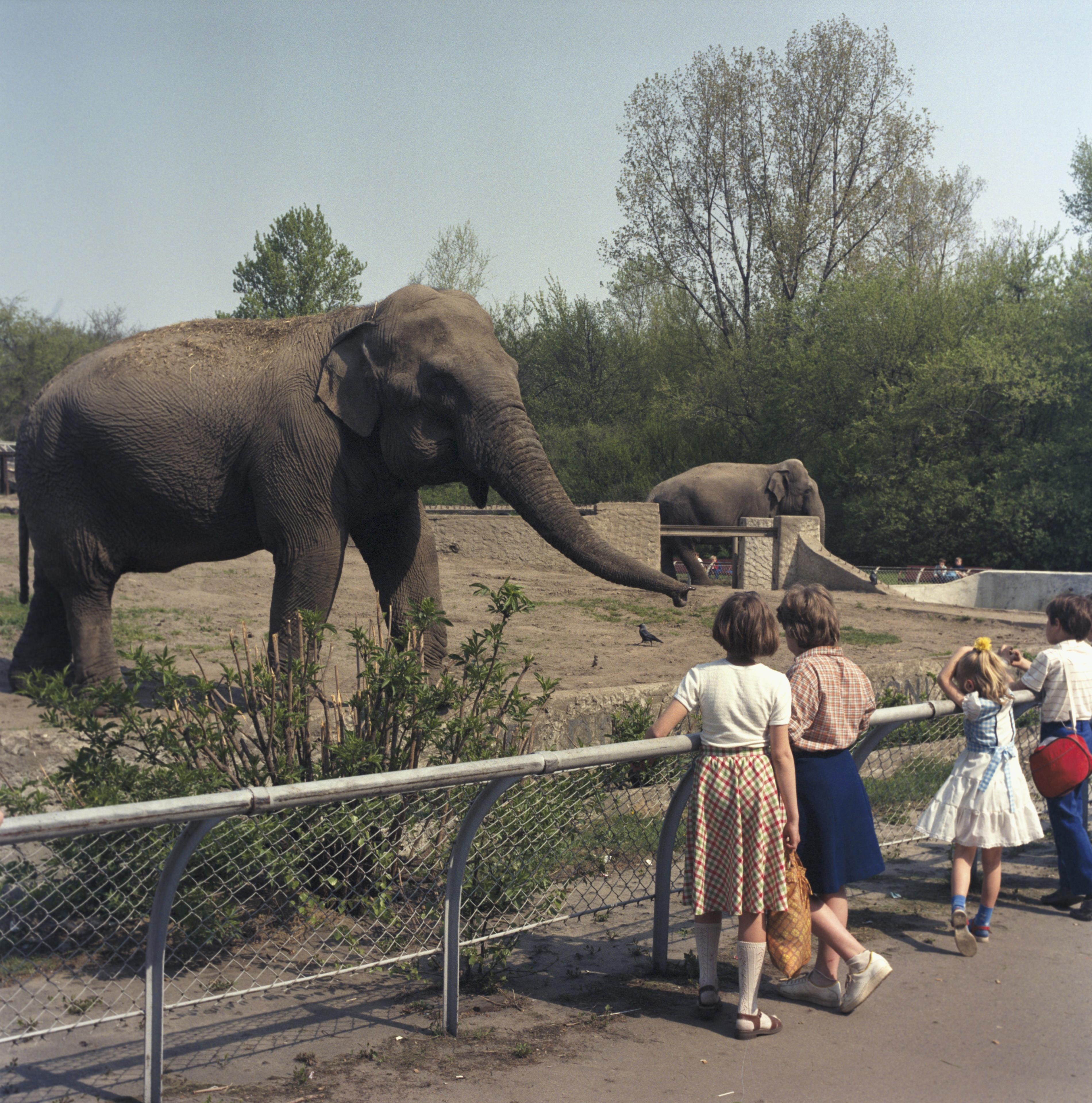 OGRODY ZOOLOGICZNE