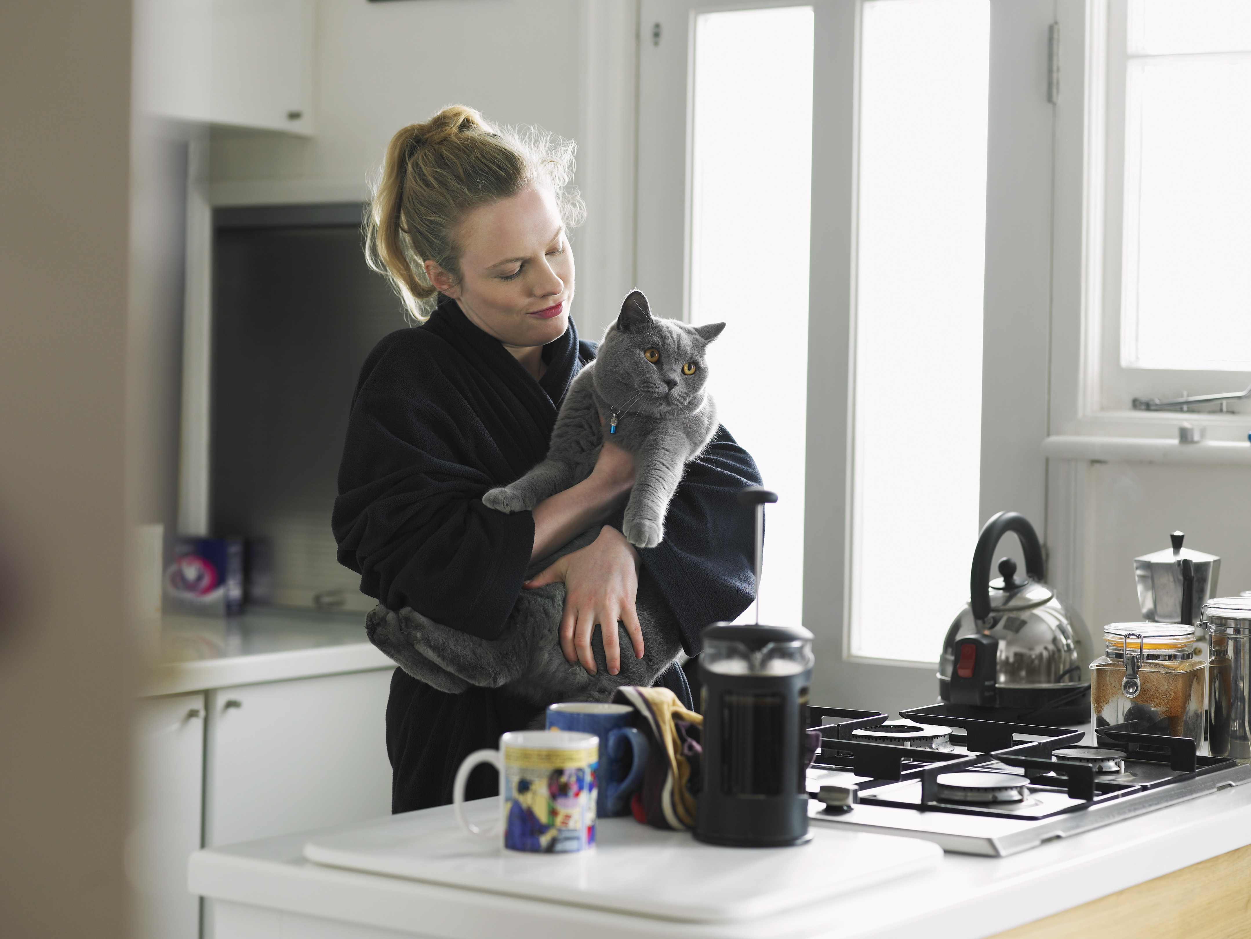 Cicát nevelni bármely életkorban lehet, de sok türelemre és megértésre van szükség - tippek a macska trénertől
