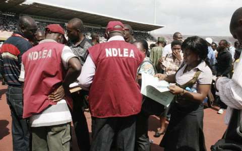 Nigeria Drug Law Enforcement Agency (NDLEA) operatives reportedly found Adesola innocent of the crime (Premium Times)