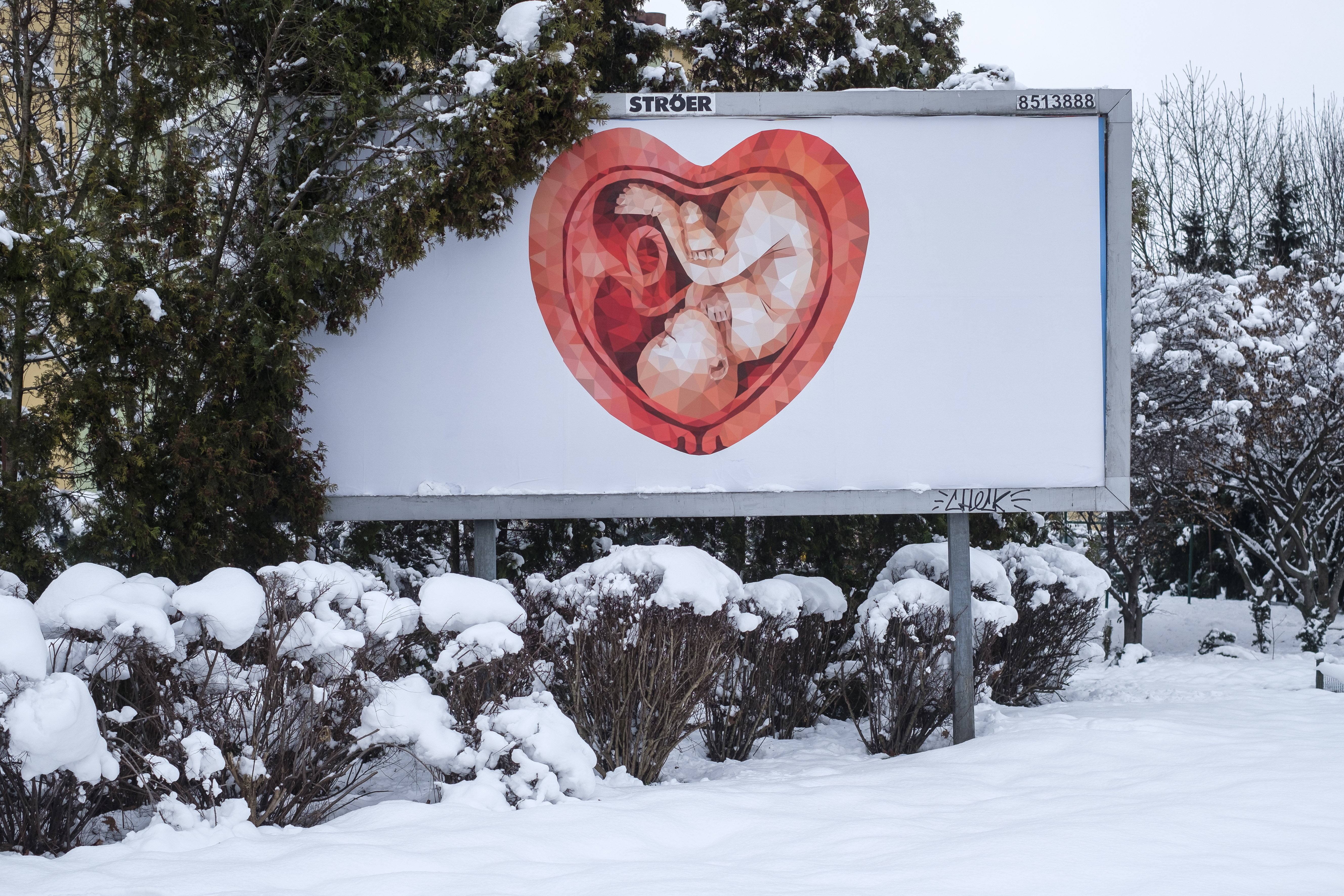 27.01.2021 Rzeszow , aleja Rejtana . Bilbord antyaborcyjny