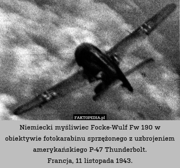 Lotnicze ciekawostki z Faktopedii