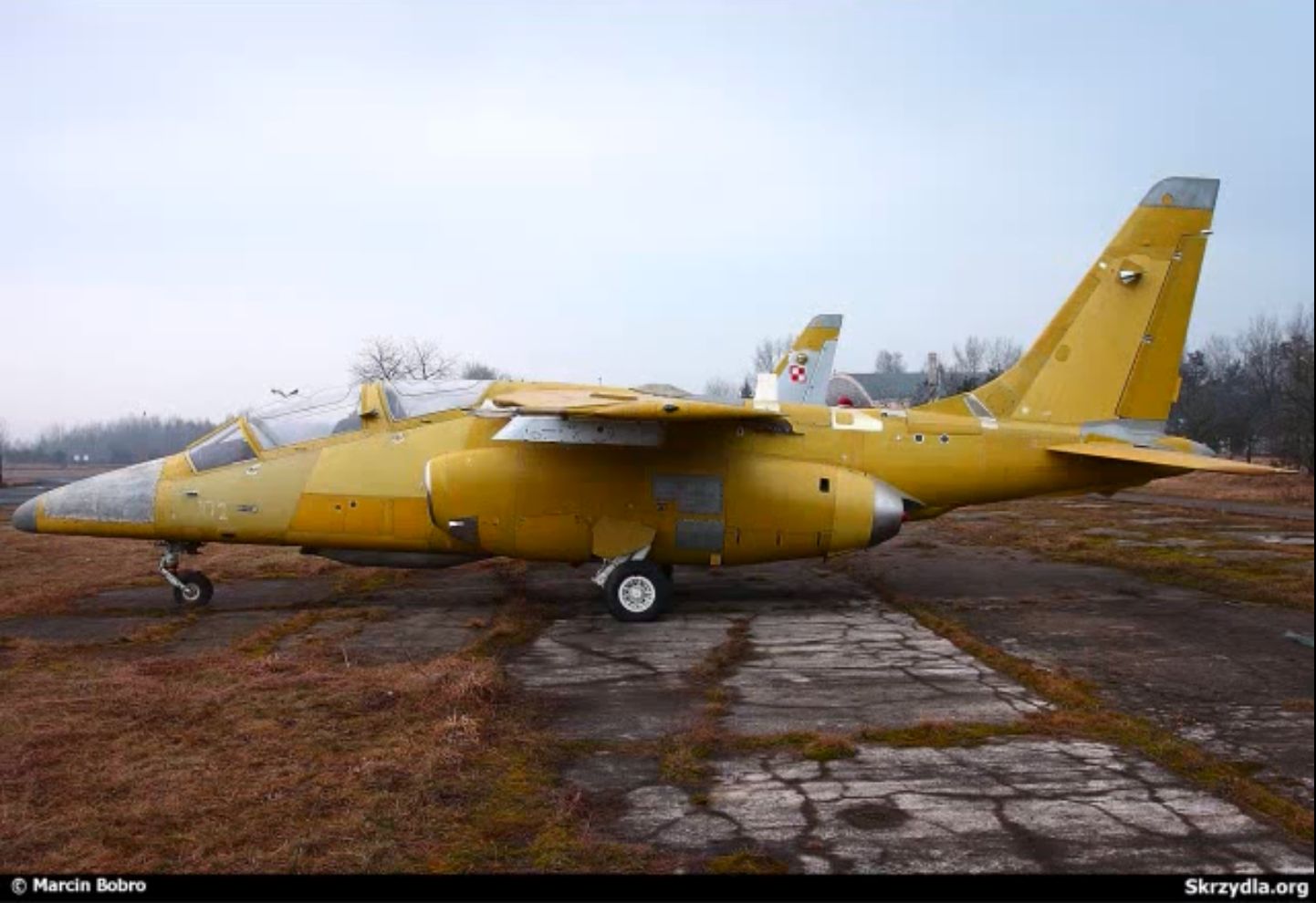 PZL I-22 Iryda