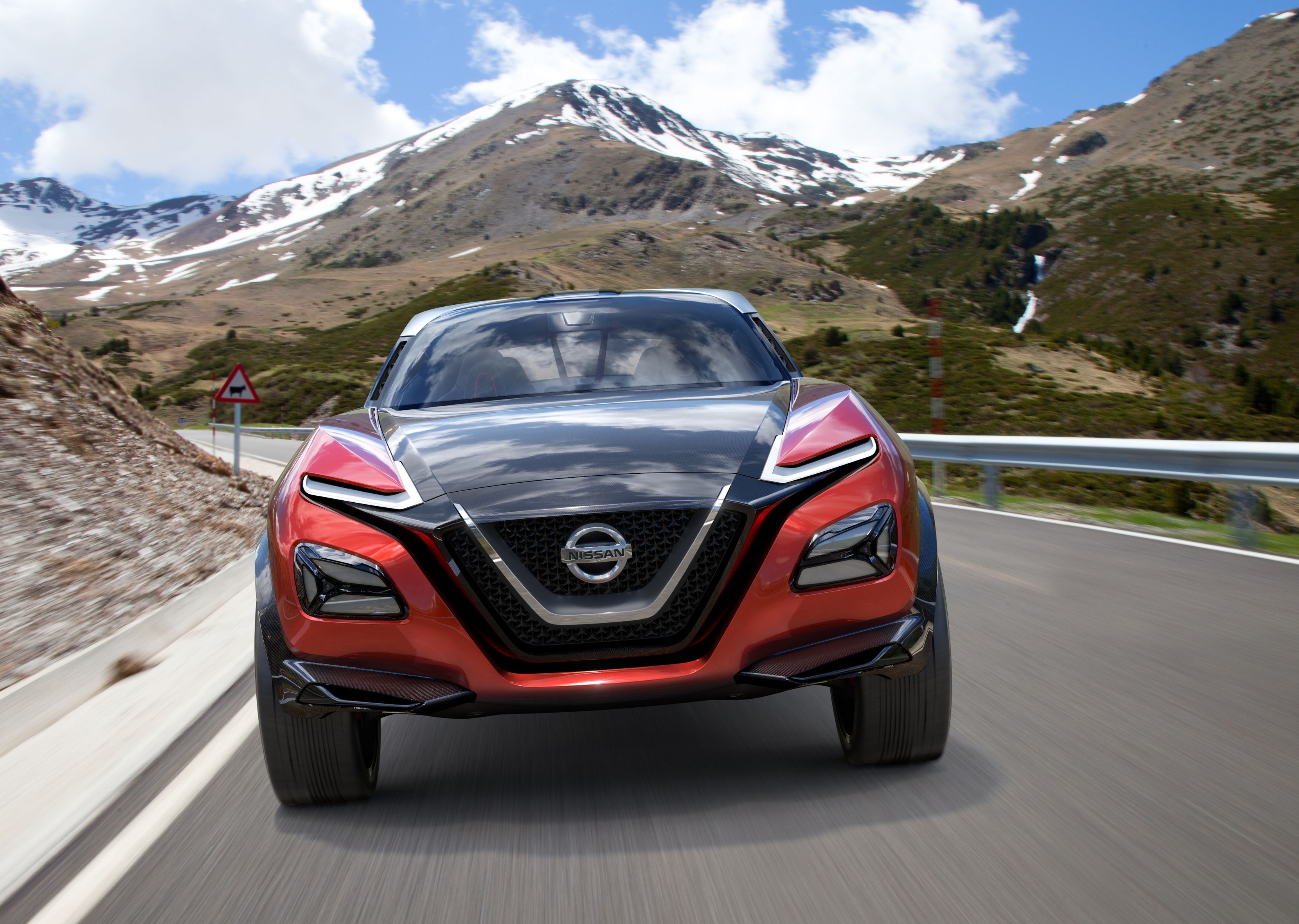 Nissan gripz