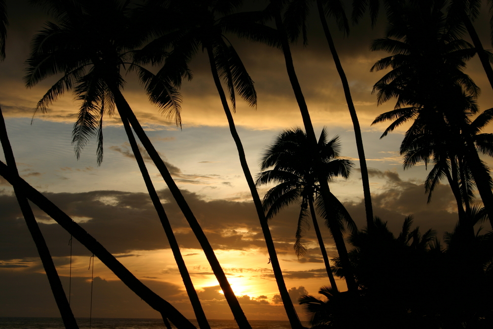 Tropikalne wyspy Samoa