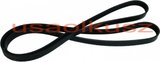 Pasek wielorowkowy MICRO Jeep Liberty 2,5CRD 2,8 CRD KJ KH 2002-