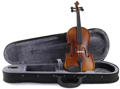 Instrumenty smyczkowe - Stagg 25013232 VN-1/4 1/4 Standard Violin Soft tablet VN-1/4 - grafika 1