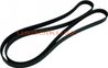 DAYCO Pasek micro Ford Contour -AC 2,0 1995-1996
