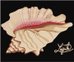 Grund Mata łazienkowa Shell by O.L. b3490-60136