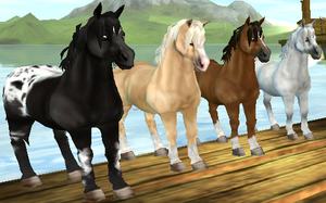 Znalezione obrazy dla zapytania kucyk jorvik sso