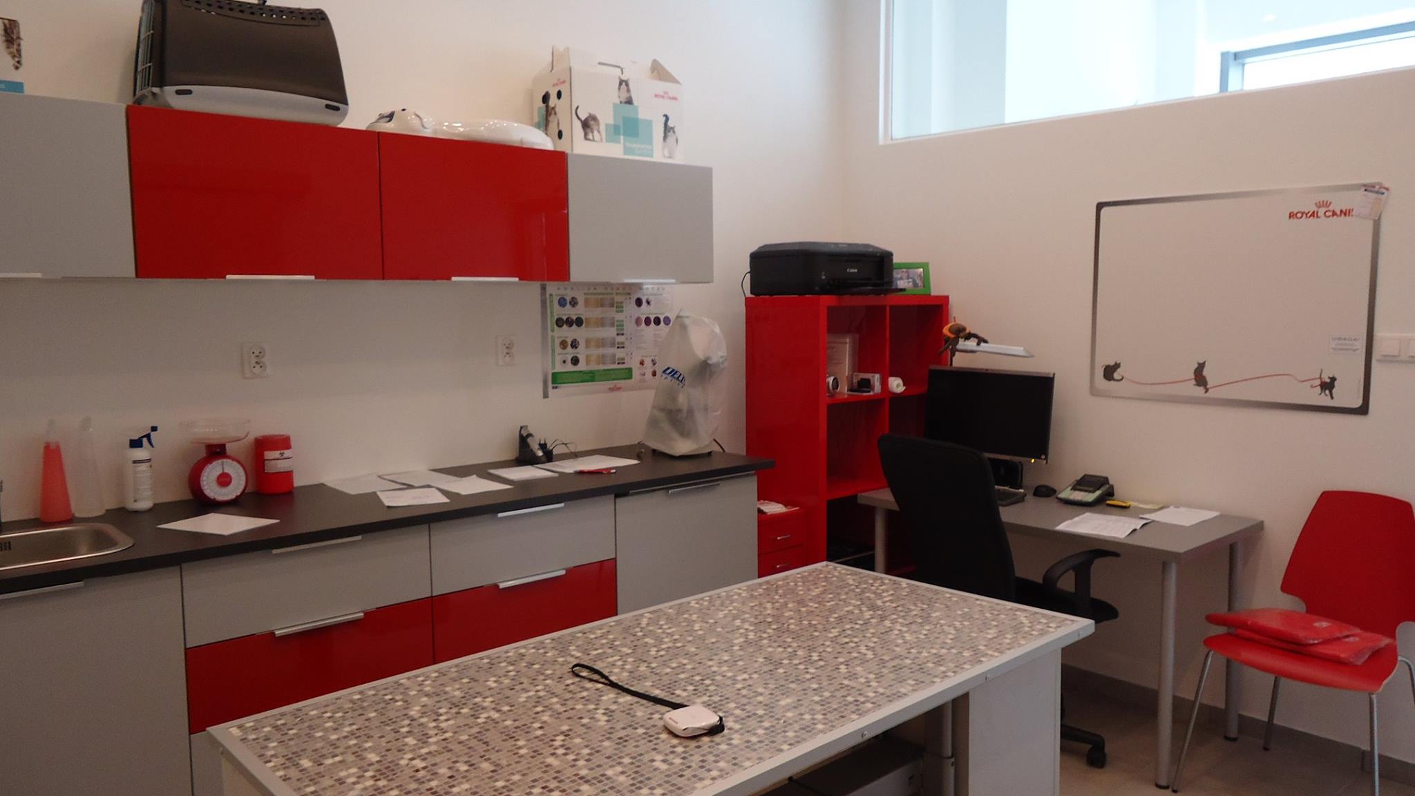 Przychodnia Weterynaryjna Eden Opole Mapa Polski W Zumipl