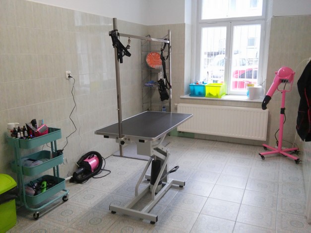 Salon Strzyżenia Psów I Kotów Wilczyca Kielce Mapa Polski W Zumipl