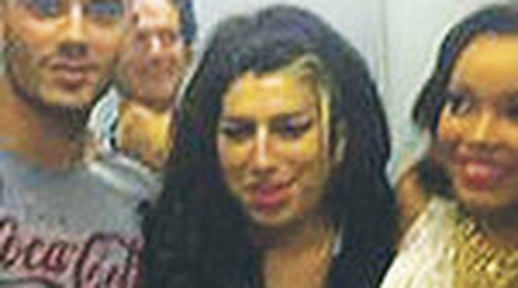 Halála előtt Amy Winehouse nem drogozott - Videó!