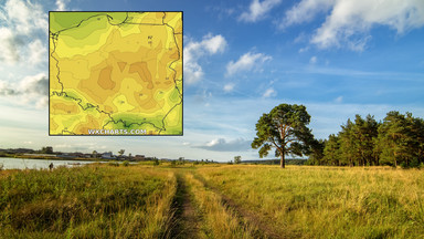 Wakacje pożegnamy słońcem i ciepłem. Deszcze i burze w nielicznych regionach [PROGNOZA]