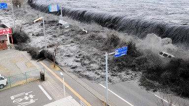 5. rocznica katastrofy w Fukushimie. Zobacz archiwalne zdjęcia