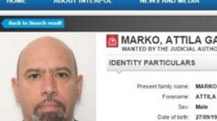 Markót már az Interpol is keresi