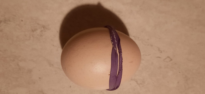 Owiń jajko gumką recepturką. Ten patent przyda się przed Wielkanocą