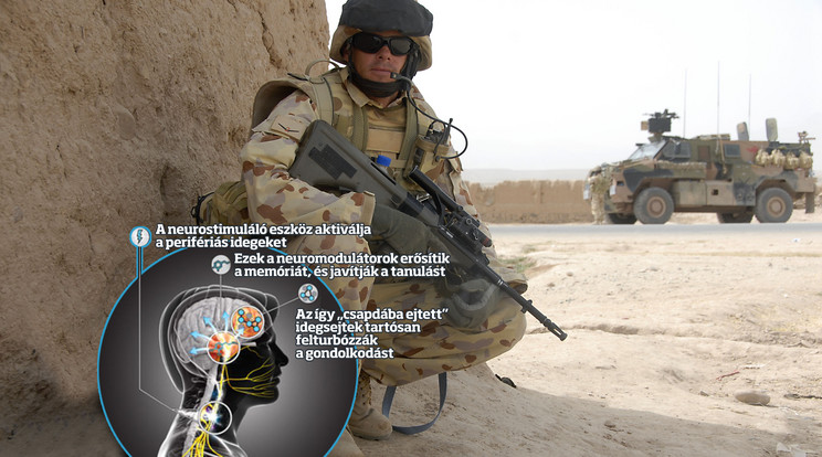 A tudósok meghekkelnék a katonák agyát / Fotó: Northfoto