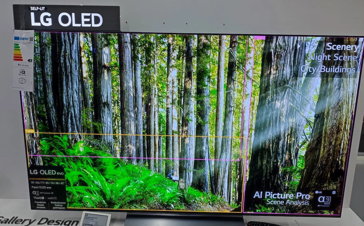 Telewizor OLED to obecnie częsty widok w domach i sklepach