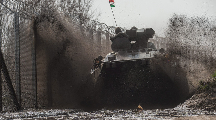 BTR 80-as páncélozott szállító harcjárművek járőröznek Röszkénél /Fotó: MTI