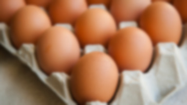 Salmonella w jajkach. GIS nadzoruje proces ich wycofywania