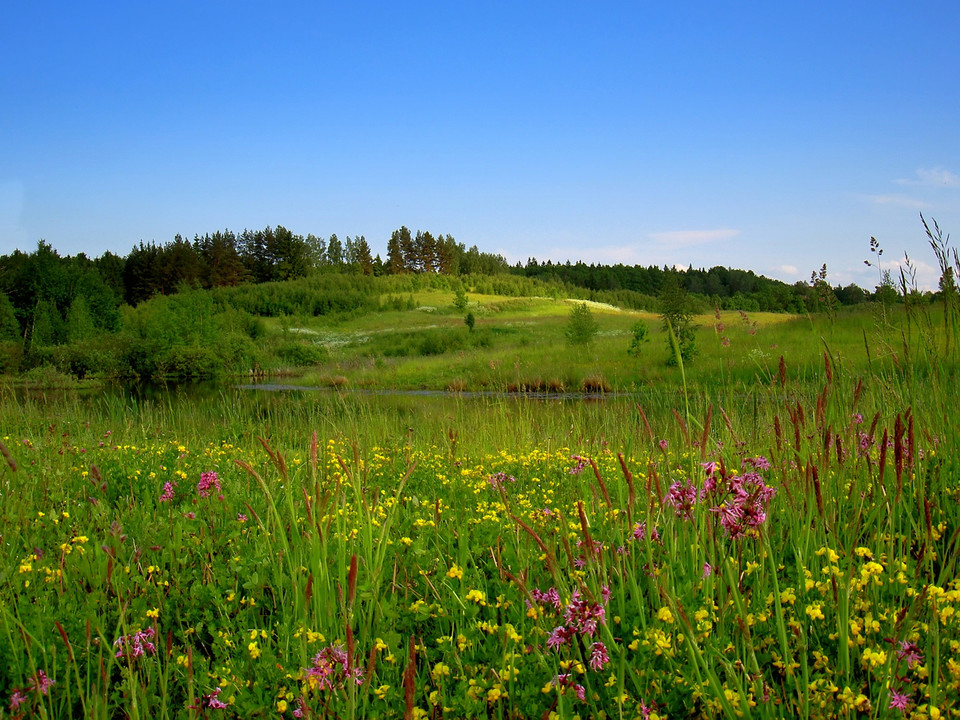 Park Krajobrazowy Wzgórz Dylewskich