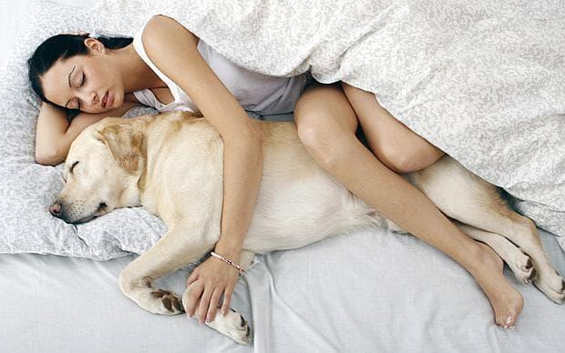 Ezt látnod kell: 7 egészségügyi ok, amiért jó, ha a kutyáddal alszol. A második és ötödik aranyat ér!