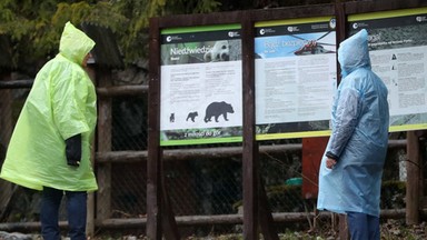 Polacy odpuścili sobie w tym roku wyjazd na majówkę. To wina drożyzny i kiepskiej pogody