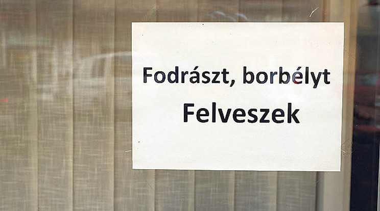 Ezt a hirdetést egy budai szalon kirakatában láttuk. A keleti országrészben lehet, hogy munkát keres egy borbély /Fotó: Pozsonyi Zita