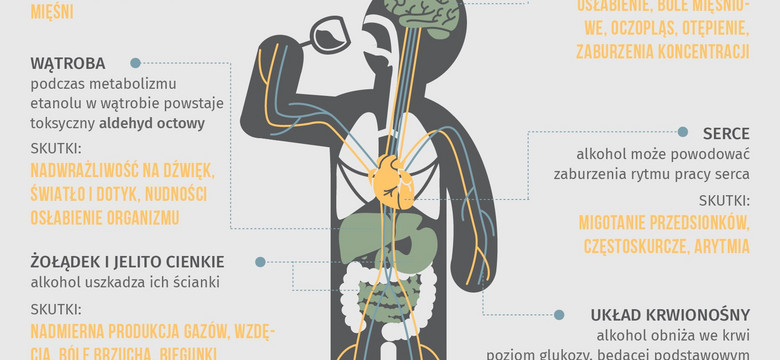 Co się dzieje z twoim ciałem, gdy masz kaca? [INFOGRAFIKA]