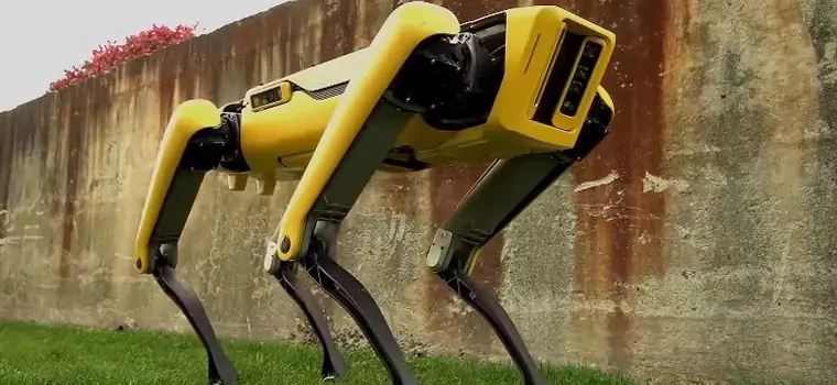 Boston Dynamics sprzedało już 250 robo-psów Spot. Akcesoria dostępne od 2021 roku