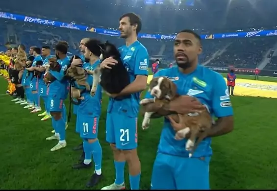 Piłkarze wyszli na boisko z psami na rękach. Promocja akcji adopcyjnej stała się hitem