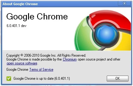 Screen z okienka informacyjnego wersji rozwojowej Chrome 6, która pojawiła się 14 maja