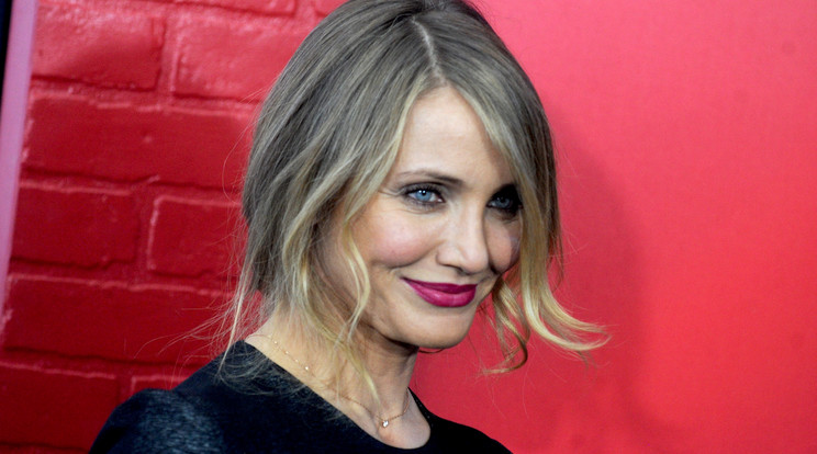 Cameron Diaz szünetelteti a hollywoodi életét/Fotó: Northfoto