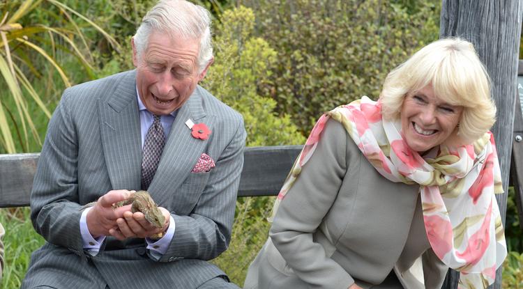 A hír igaz, megerősítette Károly király is Fotó: Getty Images