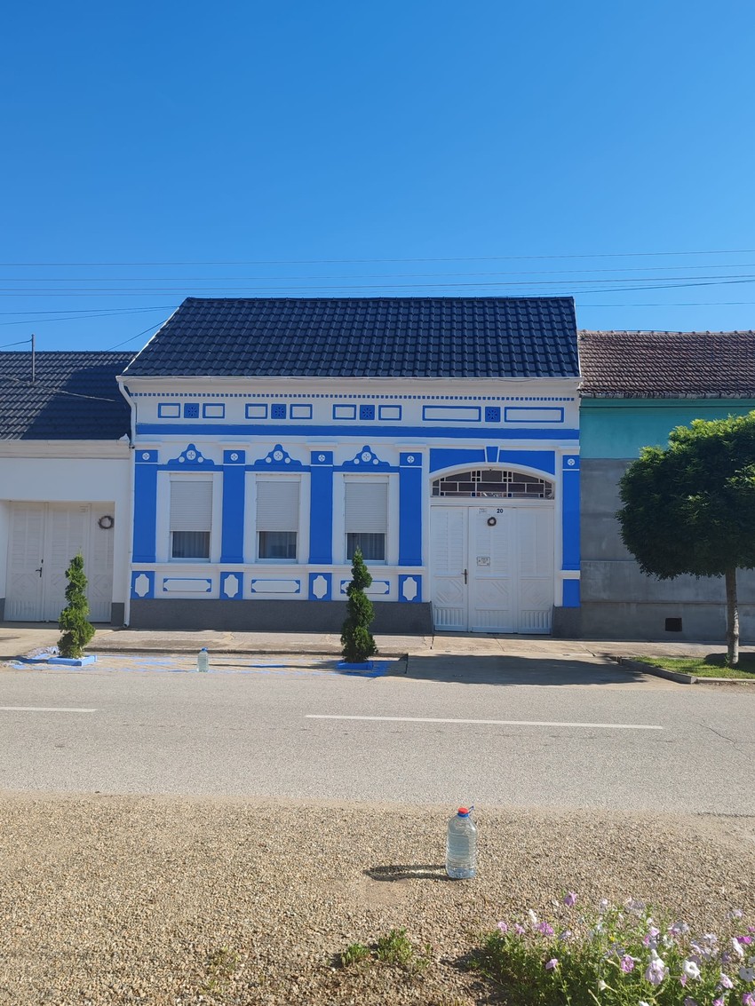 Kibicfensteri u Vojvodini
