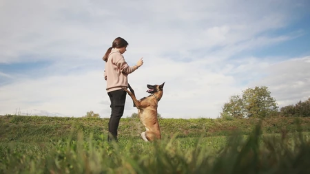 Video Milica Je Jedini Enski Dreser Pasa U Srbiji Ima Samo Godina