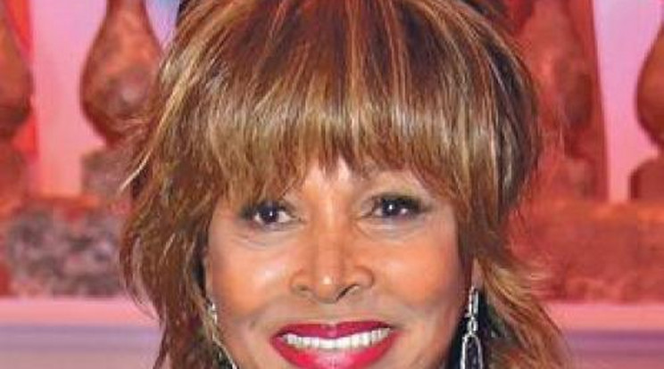 Tina Turner (73) férjhez ment!