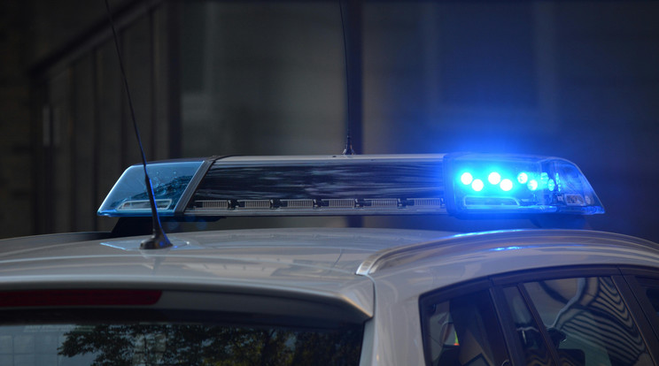 A rendőrök egy kocsifelhajtón találták meg a férfit / Illusztráció: Pixabay