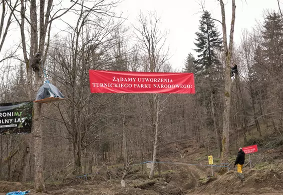 Okupują Puszczę Karpacką. "Jesteśmy zdesperowani. Ma stąd wyjechać 36 tys. tirów drewna"