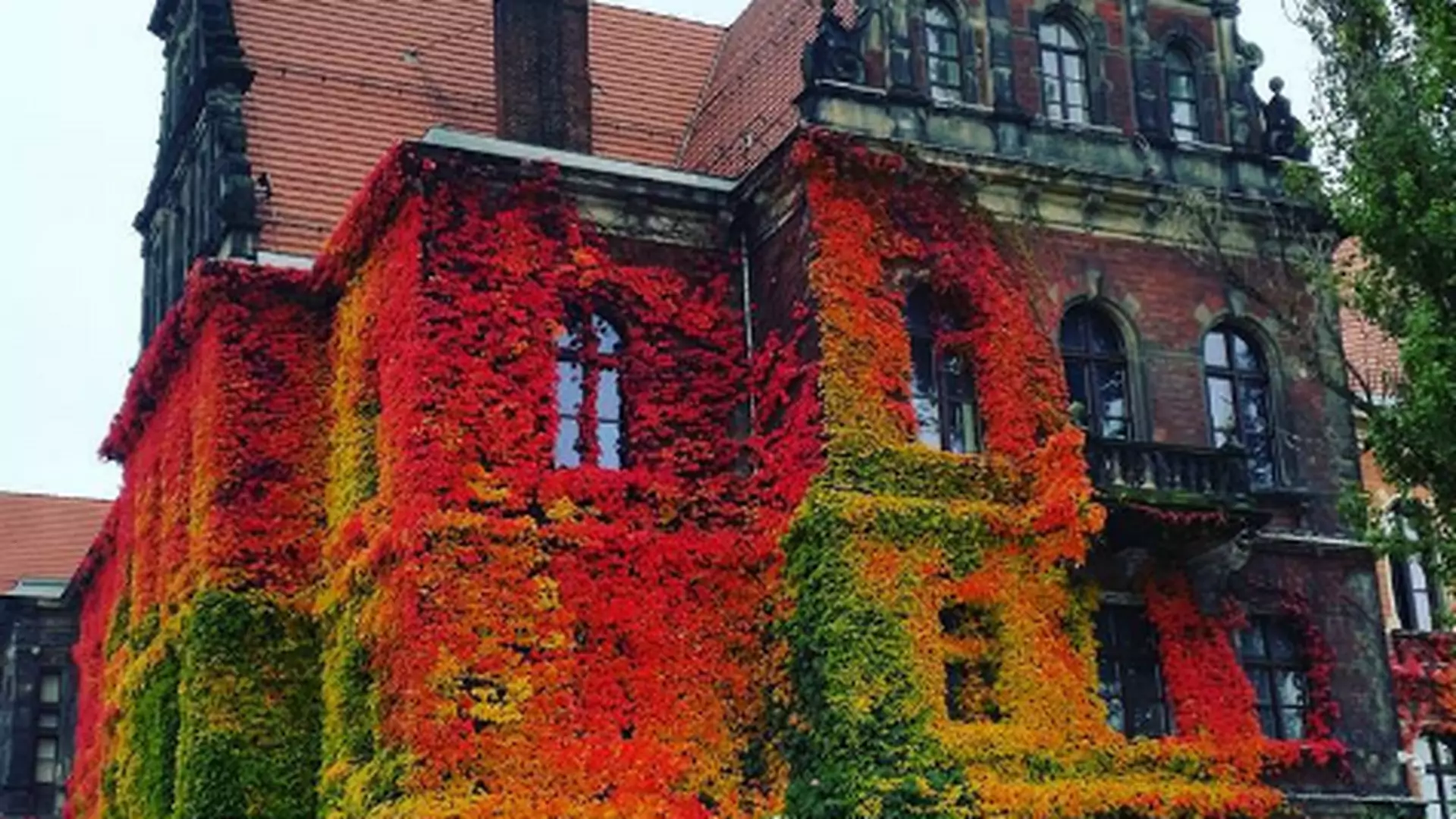 Zdjęcie Muzeum Narodowego we Wrocławiu pokazuje piękno polskiej jesieni