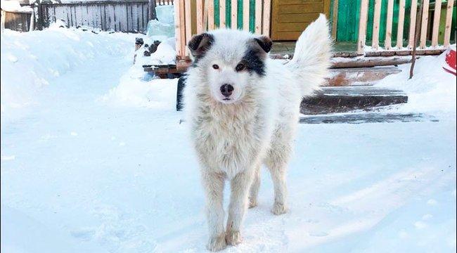 Fotó: Siberian Times