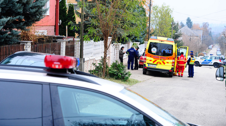 Kutya marcangolhatott szét egy idős gödöllői férfit /Fotó: Blikk