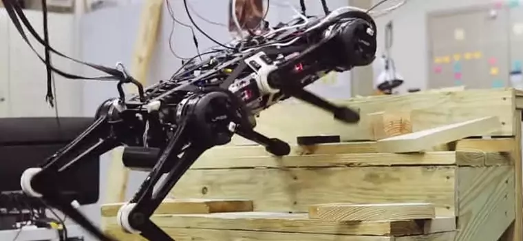 Cheetah 3 - robot MIT, który jest w stanie pokonywać schody z przeszkodami (wideo)
