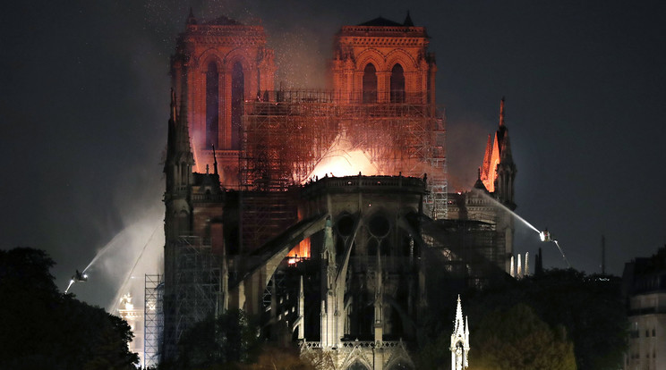 Túlélték a Notre-Dame méhei a katasztrófát / Fotó: MTI/EPA/Ian Langsdon