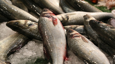Norweskie ryby - handel do Polski bije rekordy