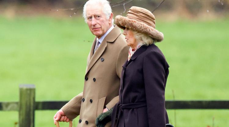 Katalin hercegné és Károly király nem az egyetlenek a királyi családban, akiknek súlyos betegségük volt az évek során. Fotó: Getty Imgages