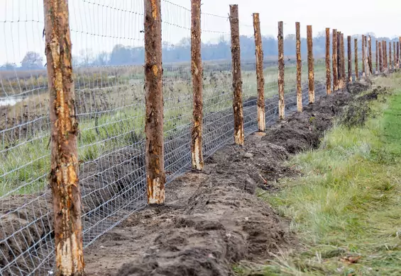 Między Małopolską a Podkarpaciem powstanie płot długi na 40 km