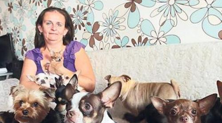 Az igen! Tíz kutyával él egy lakásban Beatrix - videó!