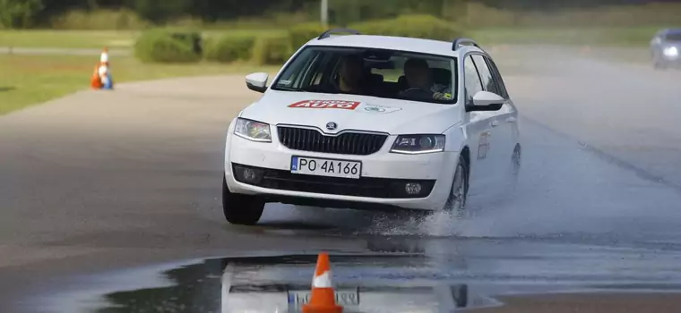 Czy Polak jest mistrzem kierownicy?